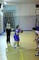 Basket 252063